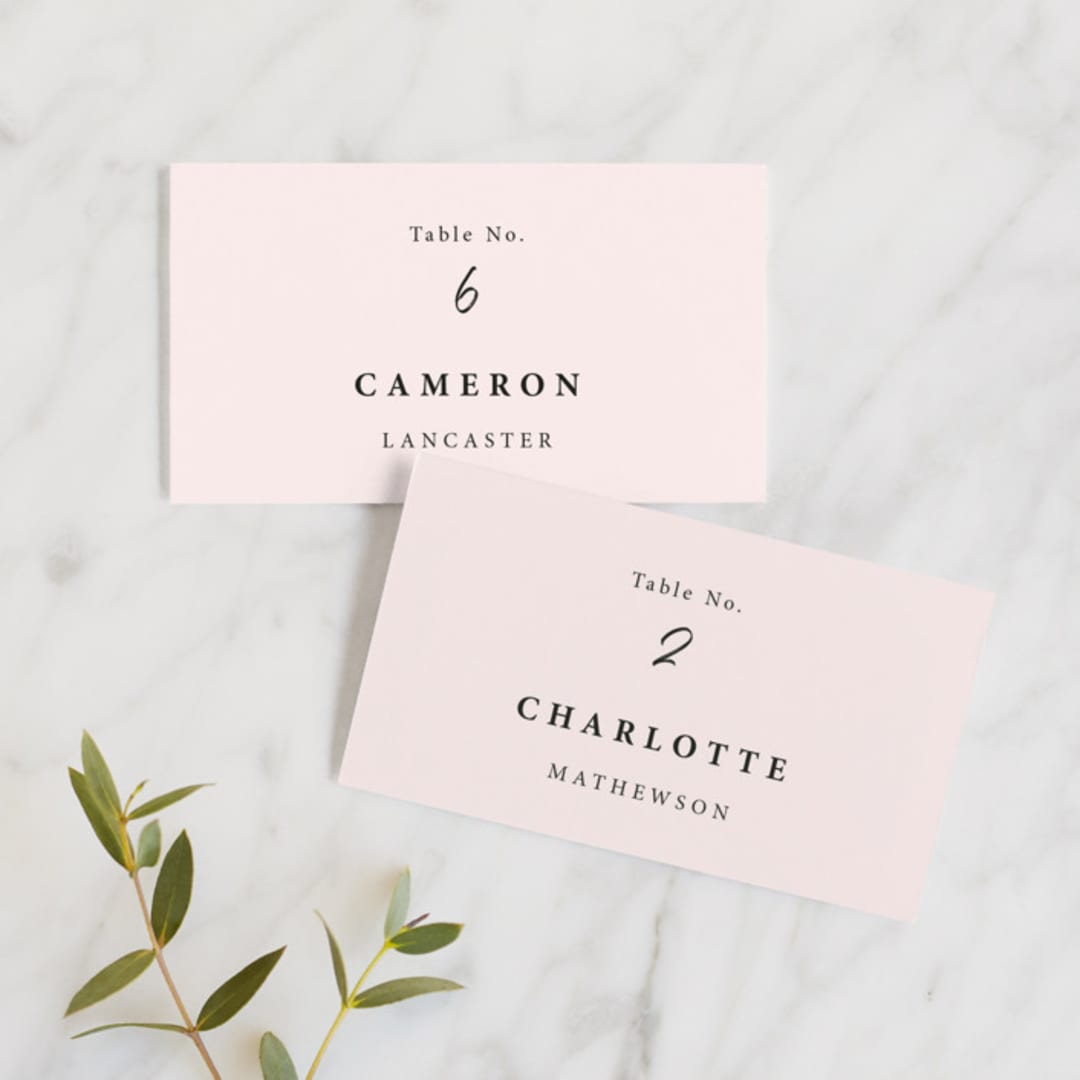 "Mod Brush" - Place Cards in Blush by Lisa Fee Paura - Front with Free Guest Printing