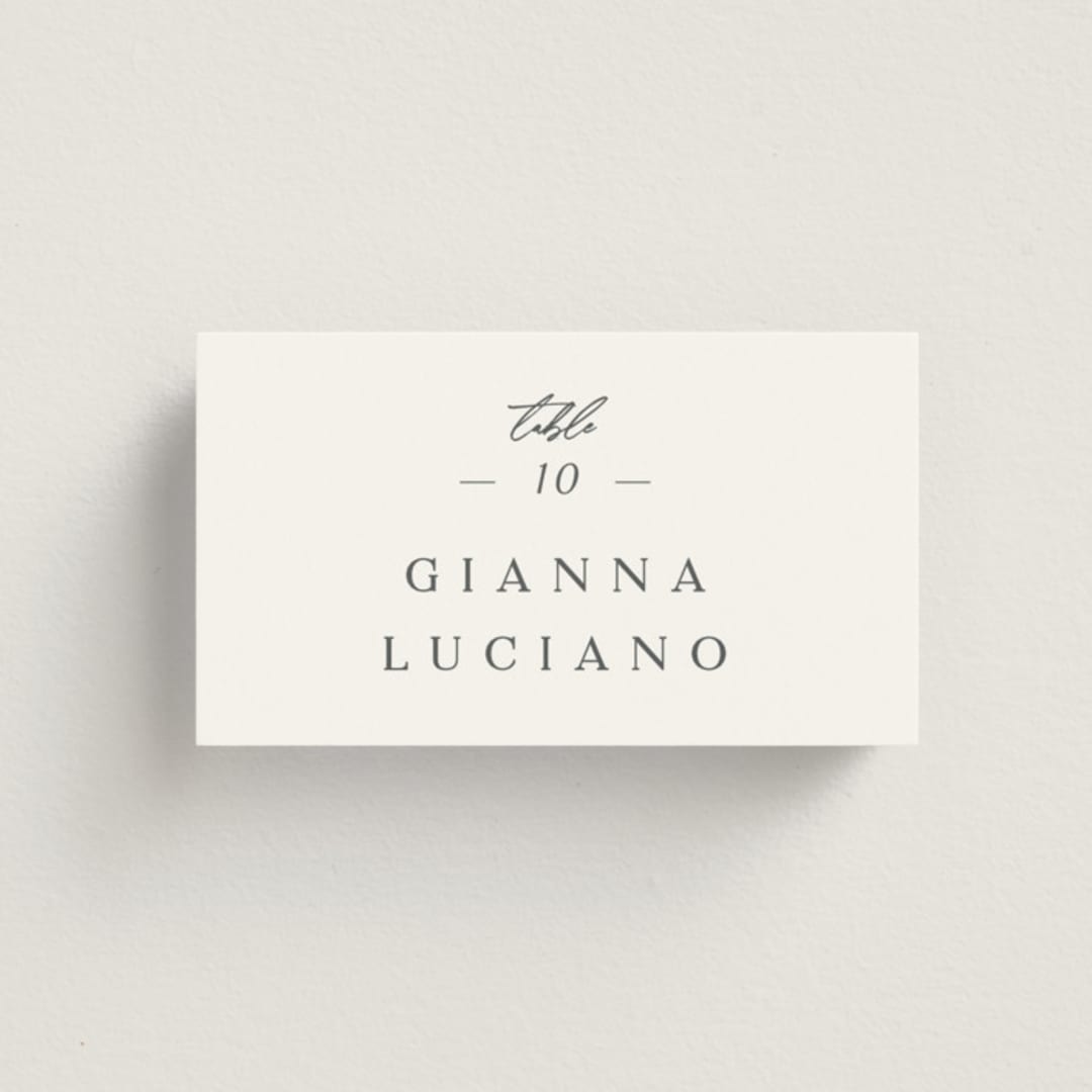 "Sector" - Place Cards in Snow by Kaydi Bishop - Front with Free Guest Printing