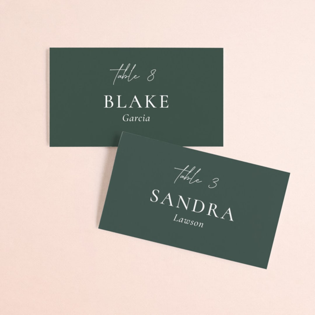 "winter's edge" - Place Cards in Alpine by Eric Clegg - Front with Free Guest Printing