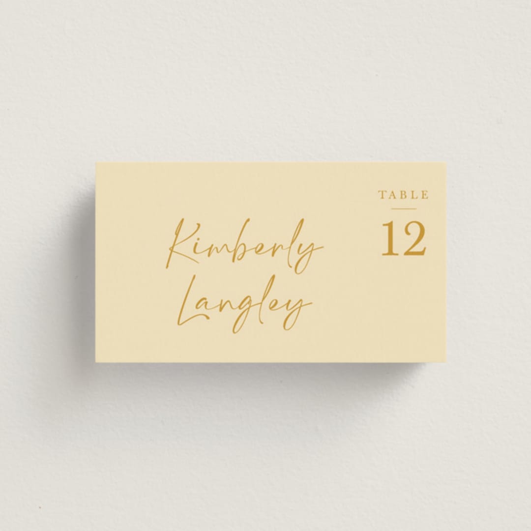 "Ink scribble" - Place Cards in Honey by Adelyn T. - Front with Free Guest Printing