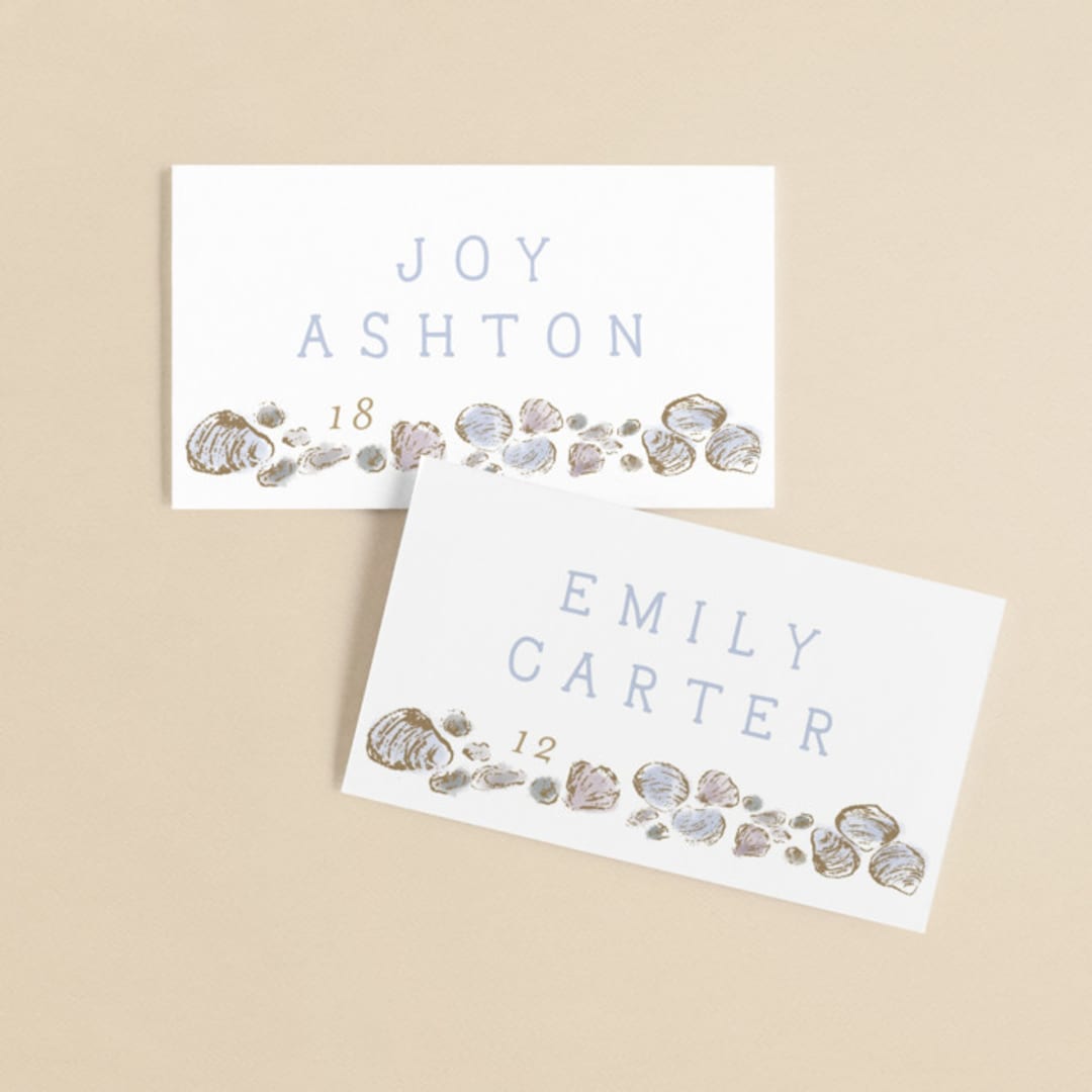 "Rocky Seaside Frame" - Place Cards in Ocean by Shiny Penny Studio - Front with Free Guest Printing