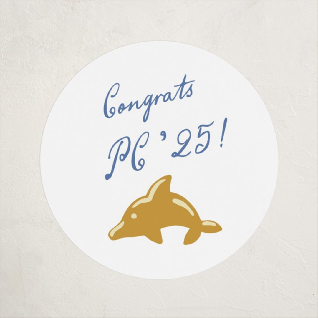 "Dolphin Charm" - Party Stickers in Ocean by Sam Dubeau - Front