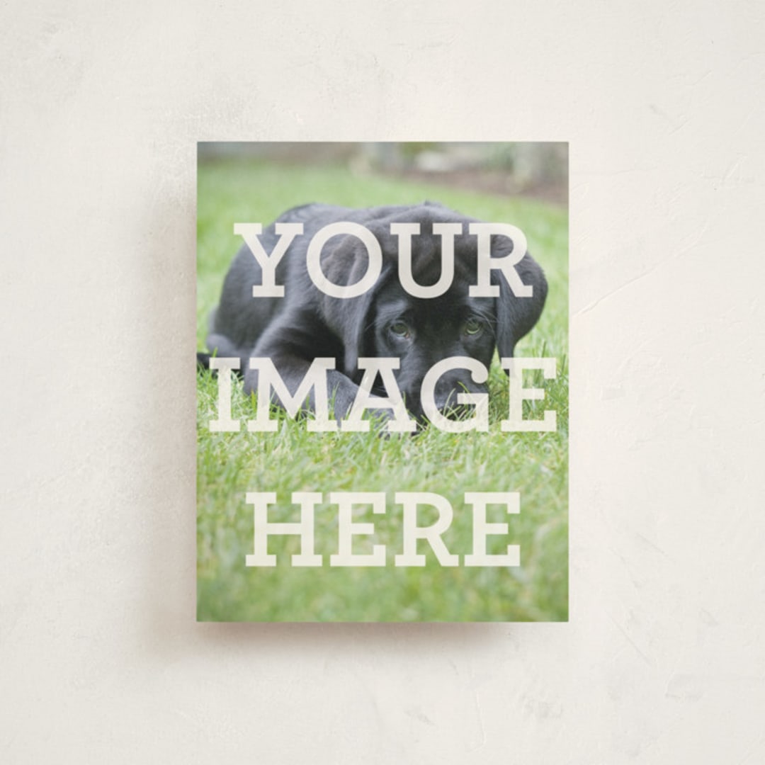 "The Big Picture" - Personalized Stationery Cards in White by Minted - Front
