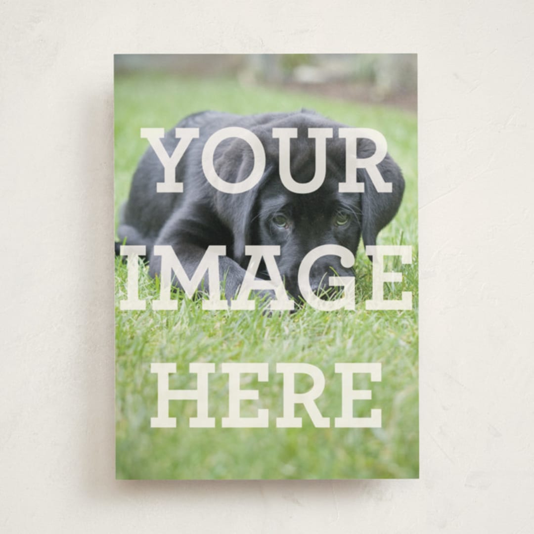 "The Big Picture" - Personalized Stationery Cards in White by Minted - Front