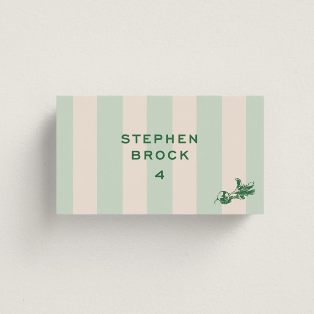 "Rhode" - Place Cards - Vegetarian in Mint by Megan Davis - Front with Free Guest Printing