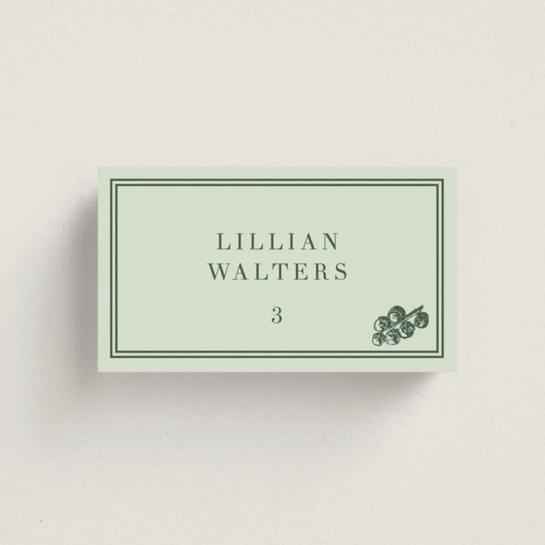 "Perry" - Place Cards - Vegetarian in Mint by Megan Davis - Front with Free Guest Printing