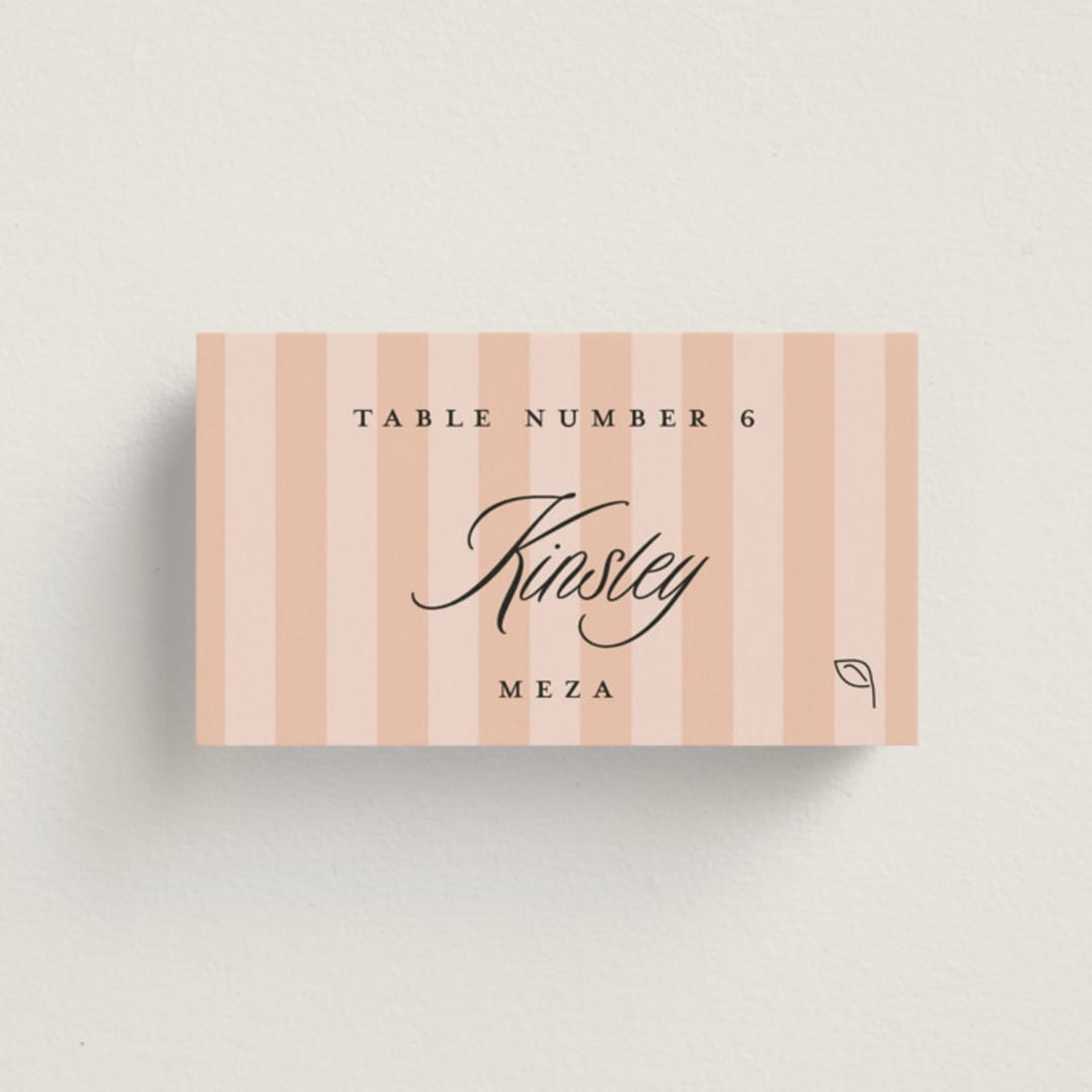 "A Simple Stripe Meal Choice" - Place Cards - Vegetarian in Candy by Susan Zinader - Front with Free Guest Printing
