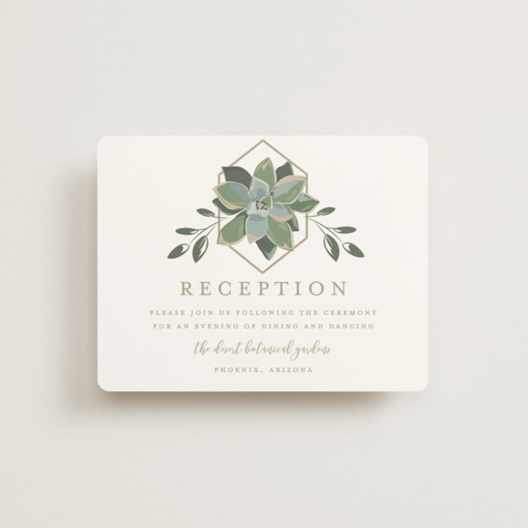 Succulent Surround