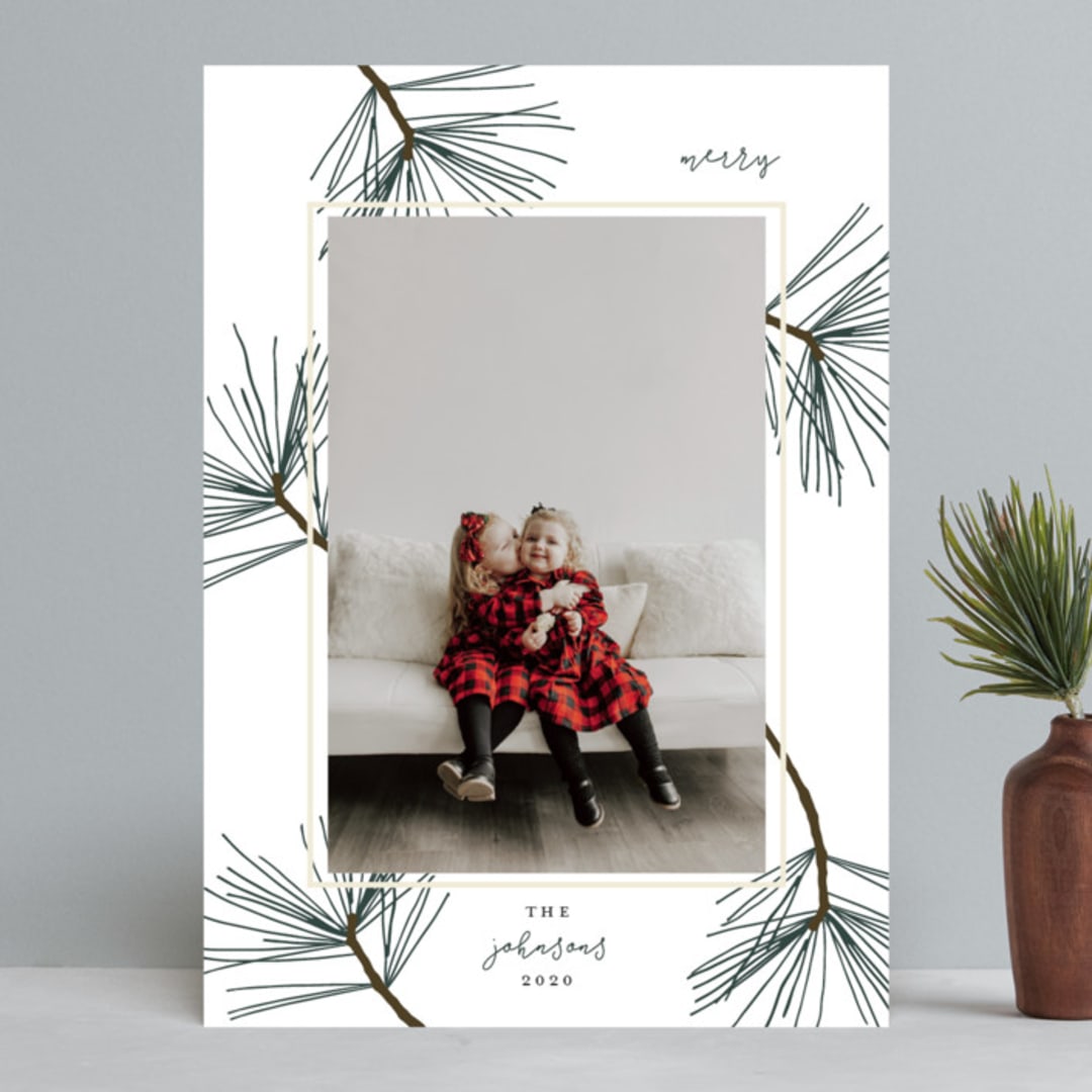 "pine needle merry" - Retired Holiday Cards in Pine by Mango Ink - Front