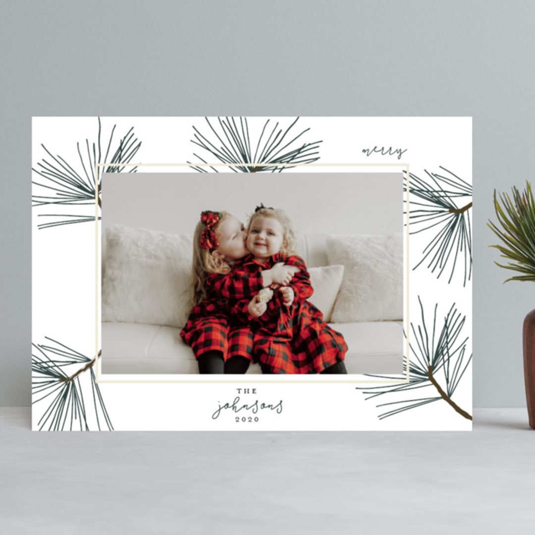"pine needle merry" - Retired Holiday Cards in Pine by Mango Ink - Front