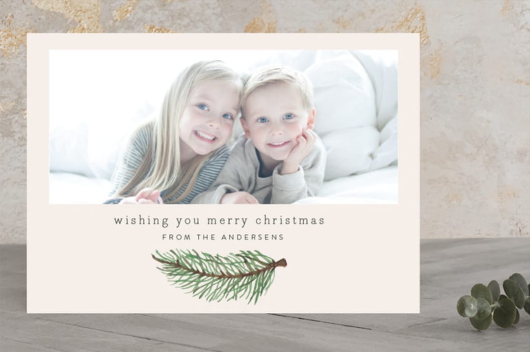 "Red Pine Branch" - Retired Holiday Cards in Ivory by Katharine Watson - Front