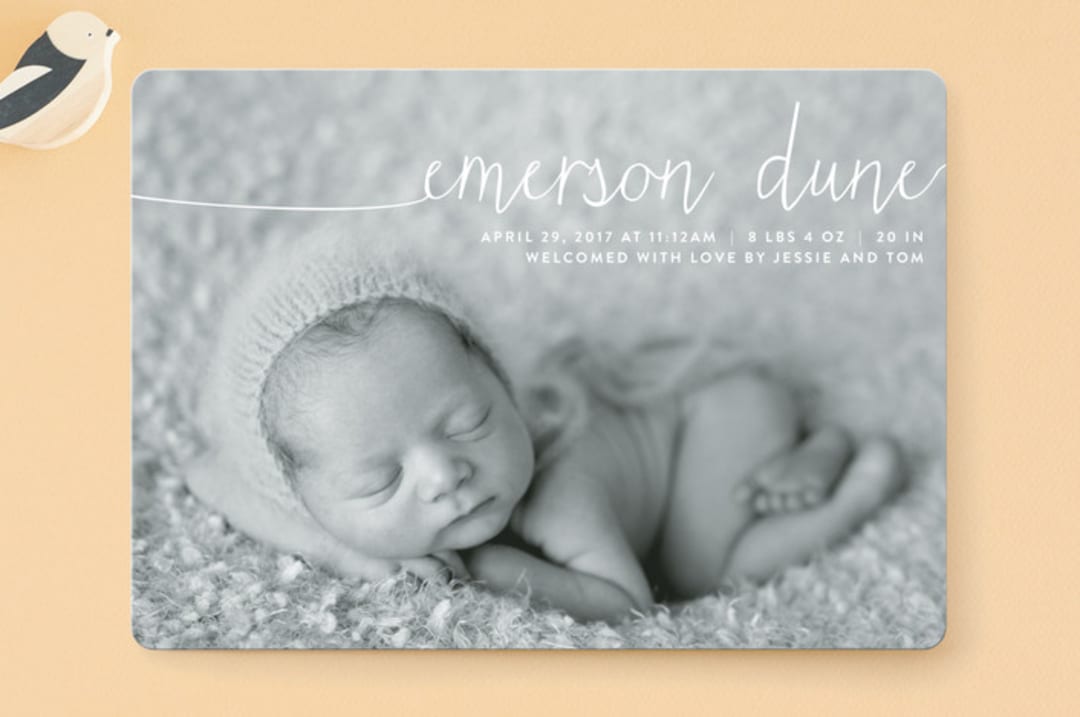 "Big Introduction" - Birth Announcements in Cotton by Kim Chow - Front