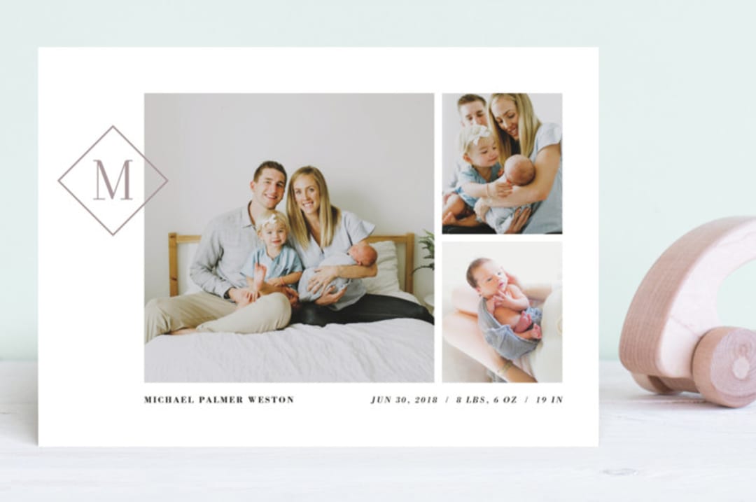 "Metropolitan" - Birth Announcements in Mink by Ann Gardner - Front