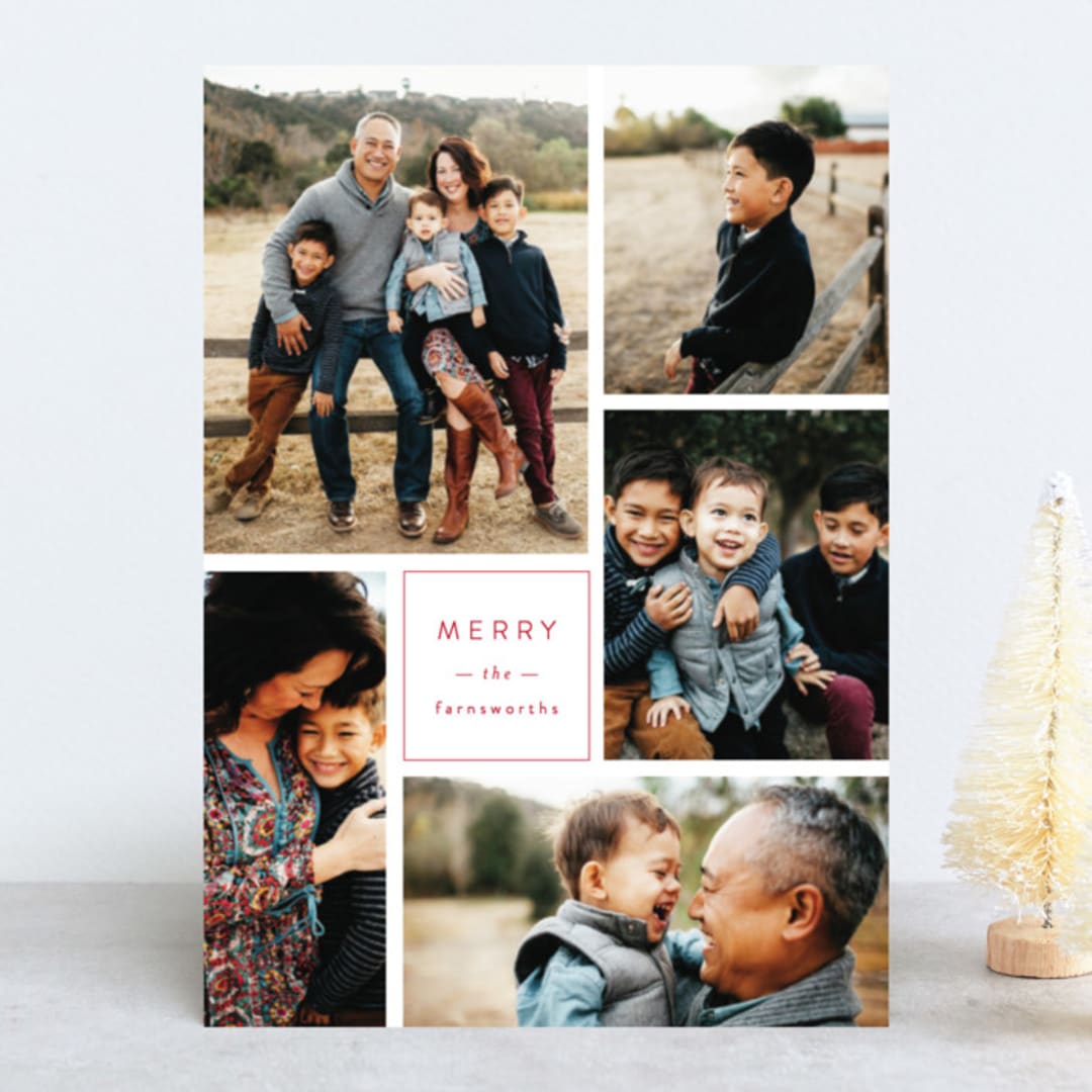 "Multi Fresh" - Retired Holiday Cards in Apple by Michelle Poe - Front