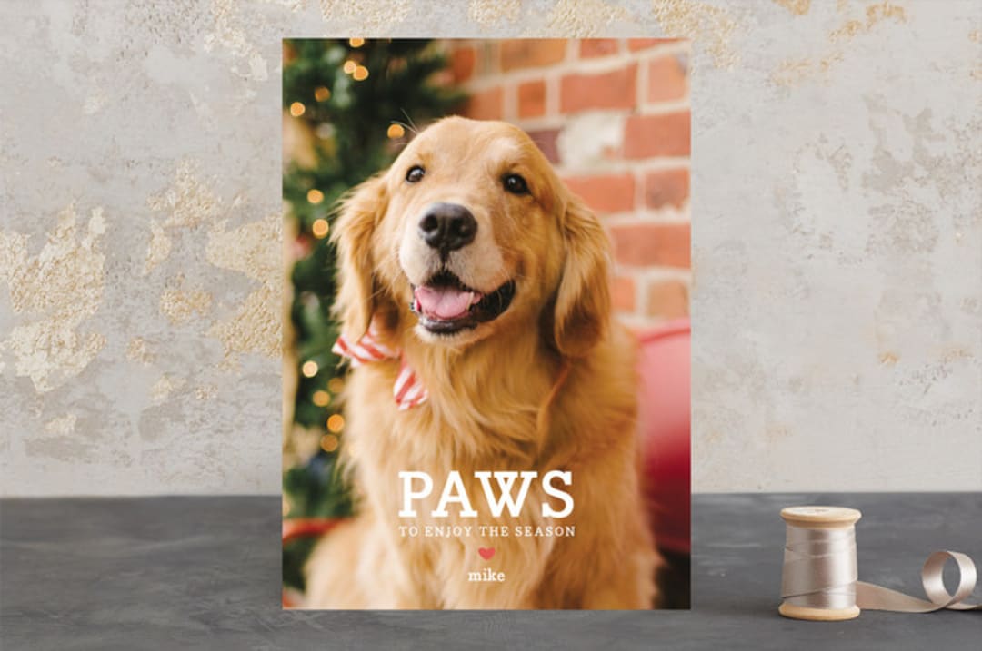 "Paws" - Retired Holiday Cards in Red Berry by Lori James - Front