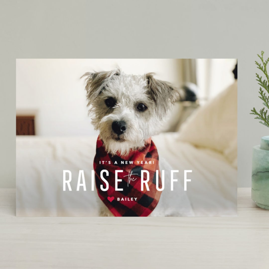 "Paws for Claus" - Retired Holiday Cards in Snow by Lori James - Front