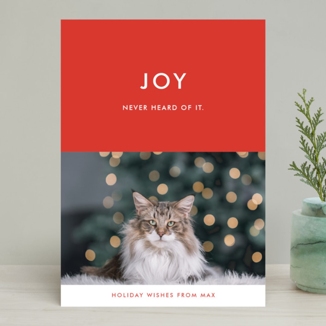 "never heard of it" - Retired Holiday Cards in Persimmon by Alaina Cherup - Front
