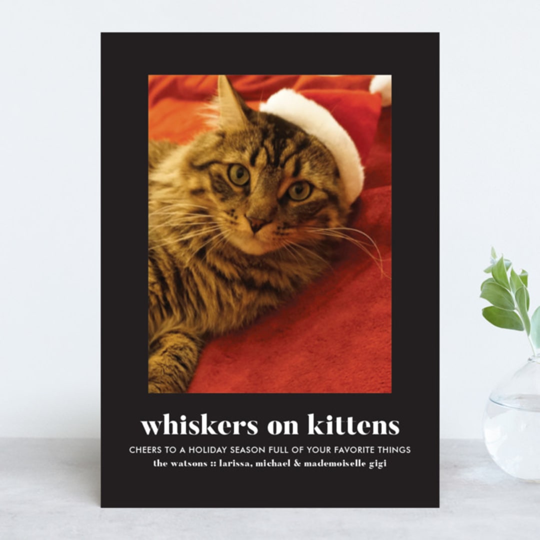 "Whiskers on Kittens" - Retired Holiday Cards in Licorice by Erika Firm - Front