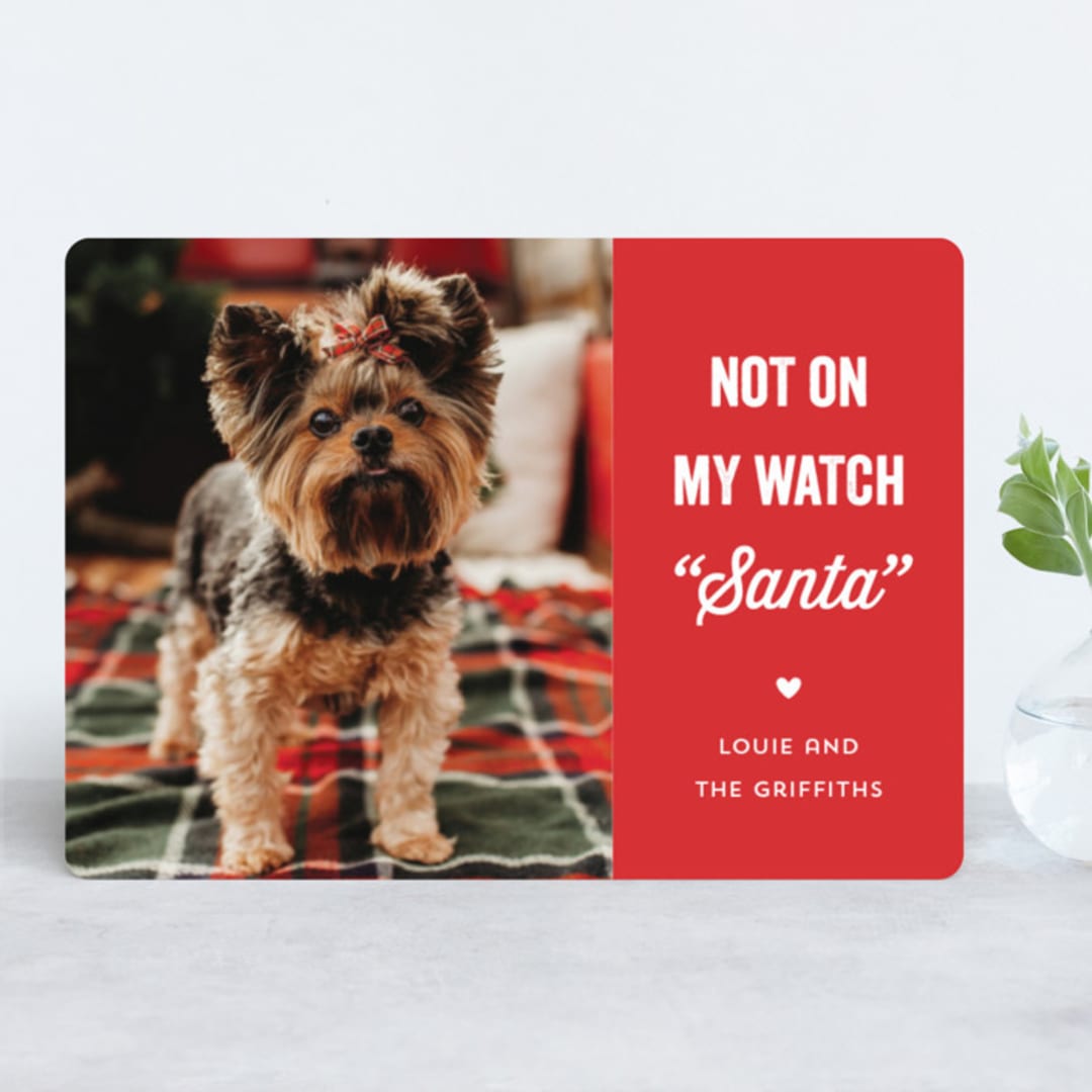 "The Fuzz" - Retired Holiday Cards in Ruby by Laura Hankins - Front