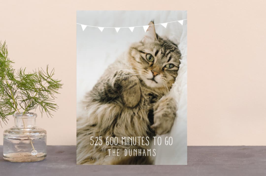 "Bunting Holiday" - Retired Holiday Cards in Snow by Leanne Friedberg - Front