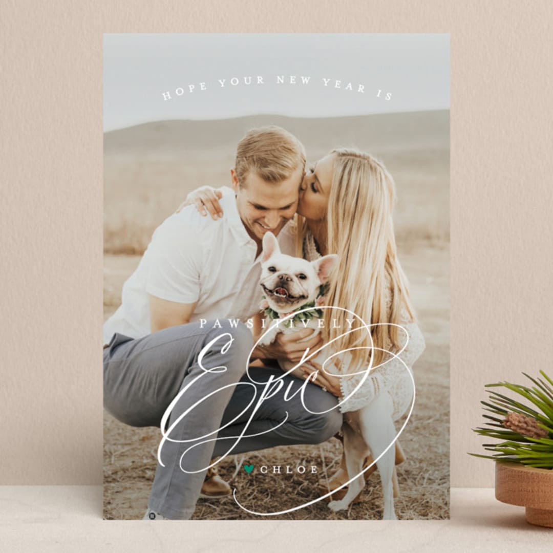 "pawsitively blessed" - Retired Holiday Cards in Pine by Lori James - Front