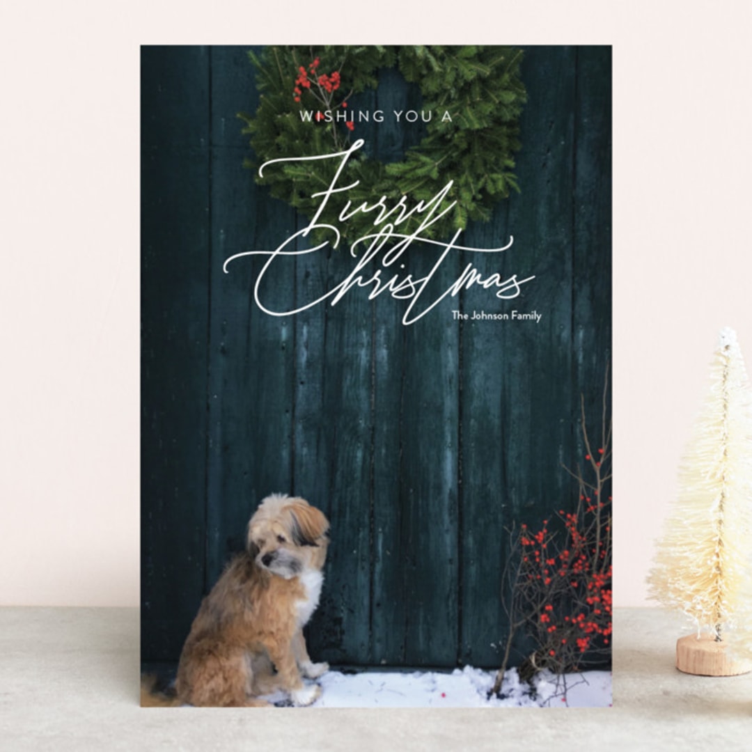 "Furry Christmas" - Retired Holiday Cards in Snow by Jessica C Nugent - Front
