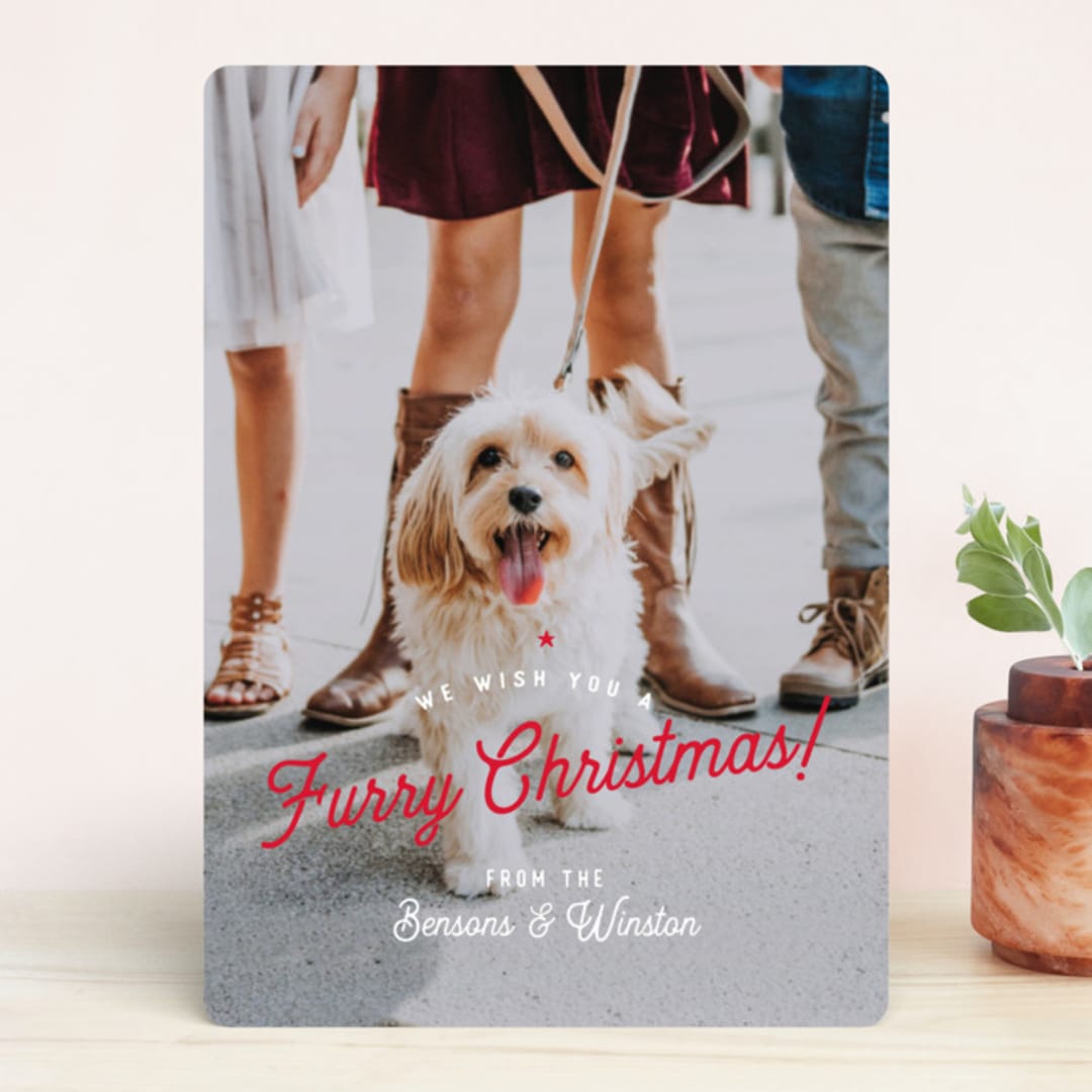 "Furry Christmas" - Retired Holiday Cards in Berry by Eric Clegg - Front