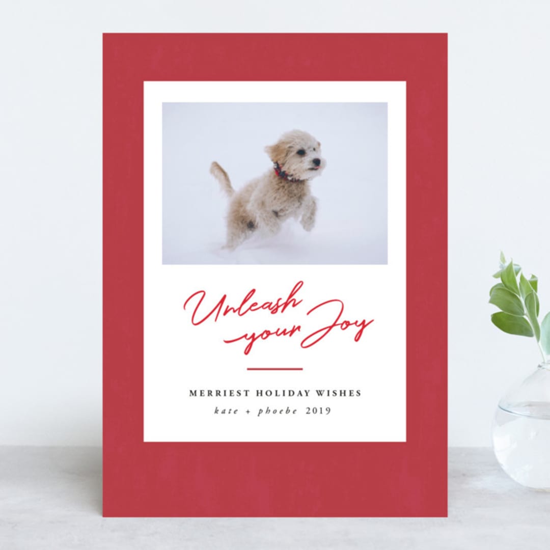 "Unleash" - Retired Holiday Cards in Rosewood by Kate Ross - Front