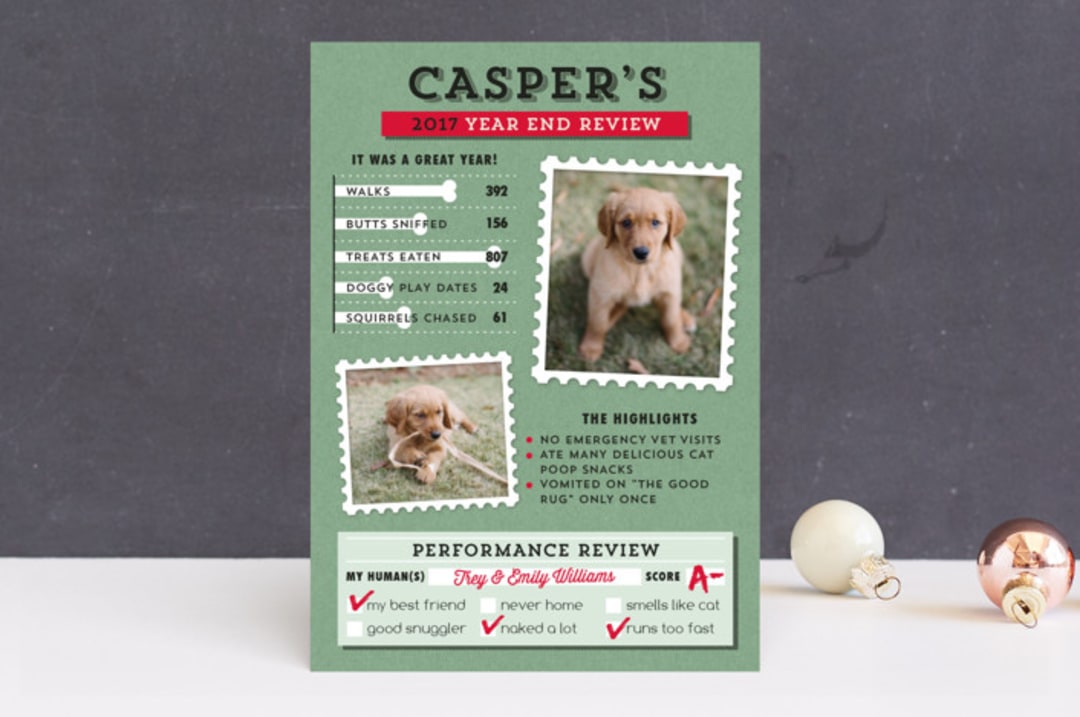 "Dog's Year in Review" - Retired Holiday Cards in Spearmint by 2birdstone - Front