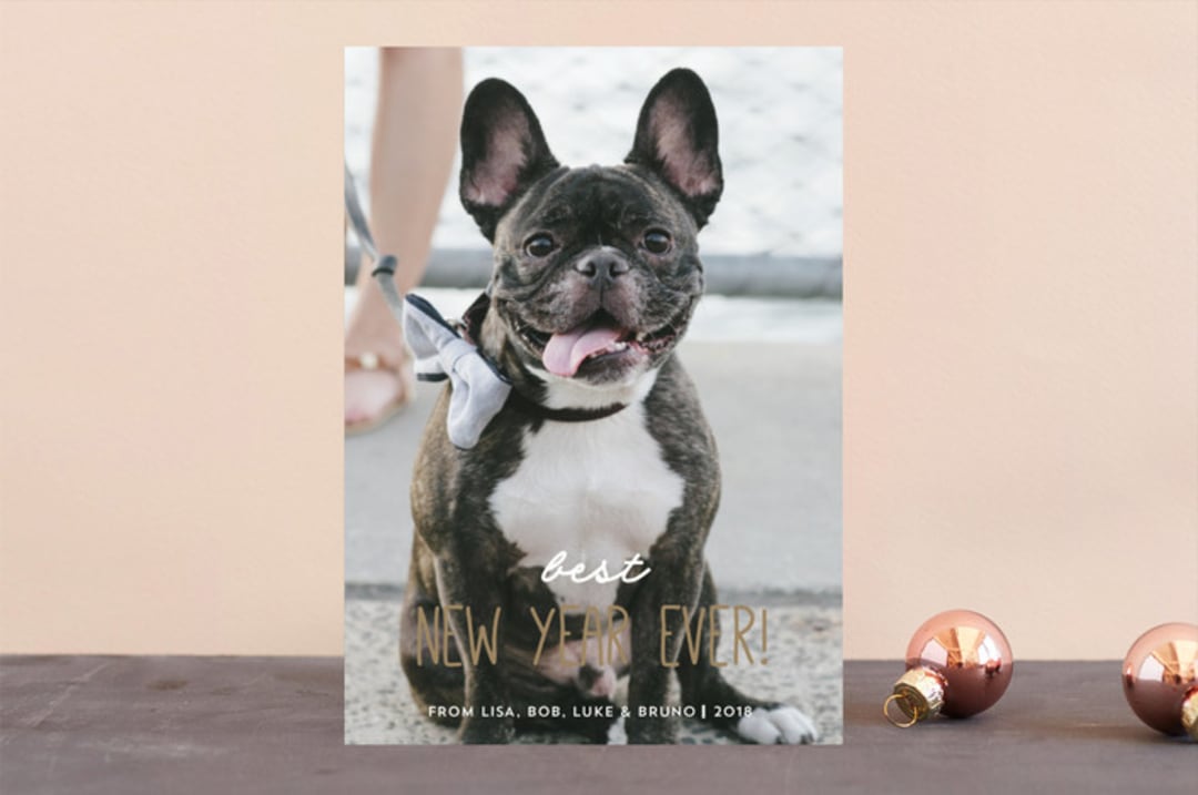 "Season's Grrreetings" - Retired Holiday Cards in Mocha by Anupama - Front