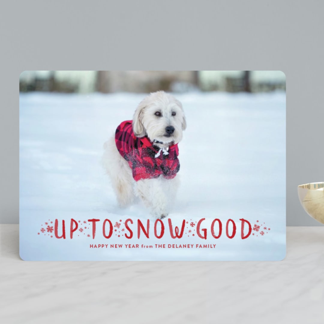 "Snow Good" - Retired Holiday Cards in Cranberry by Sarah Brown - Front
