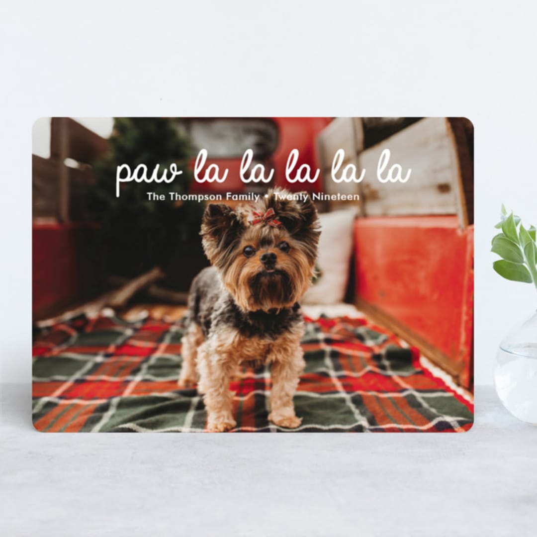"paw-la-la" - Retired Holiday Cards in Silk by Jair - Front