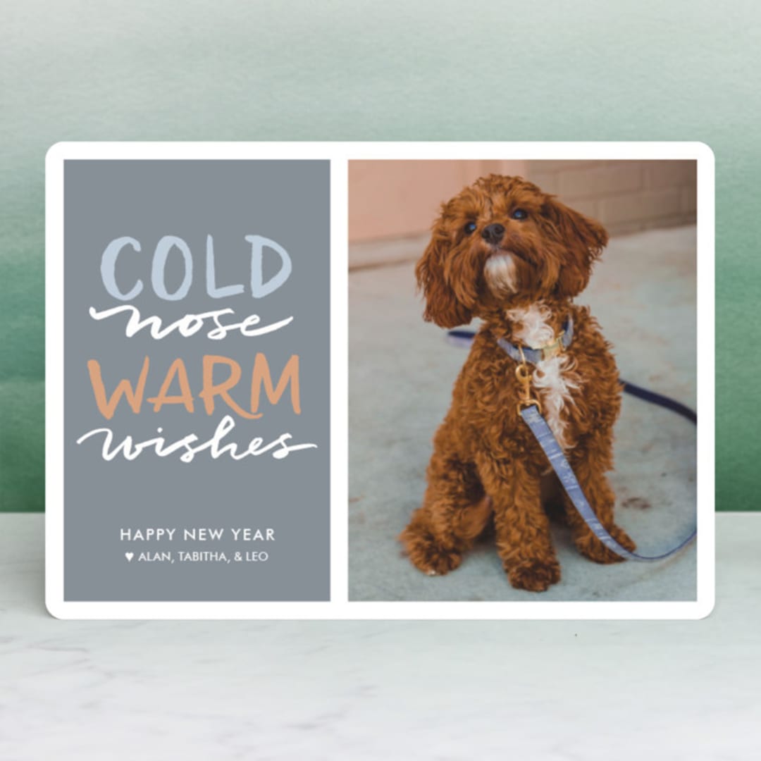 "Cold Nose, Warm Wishes" - Retired Holiday Cards in Slate Blue by Laura Condouris - Front