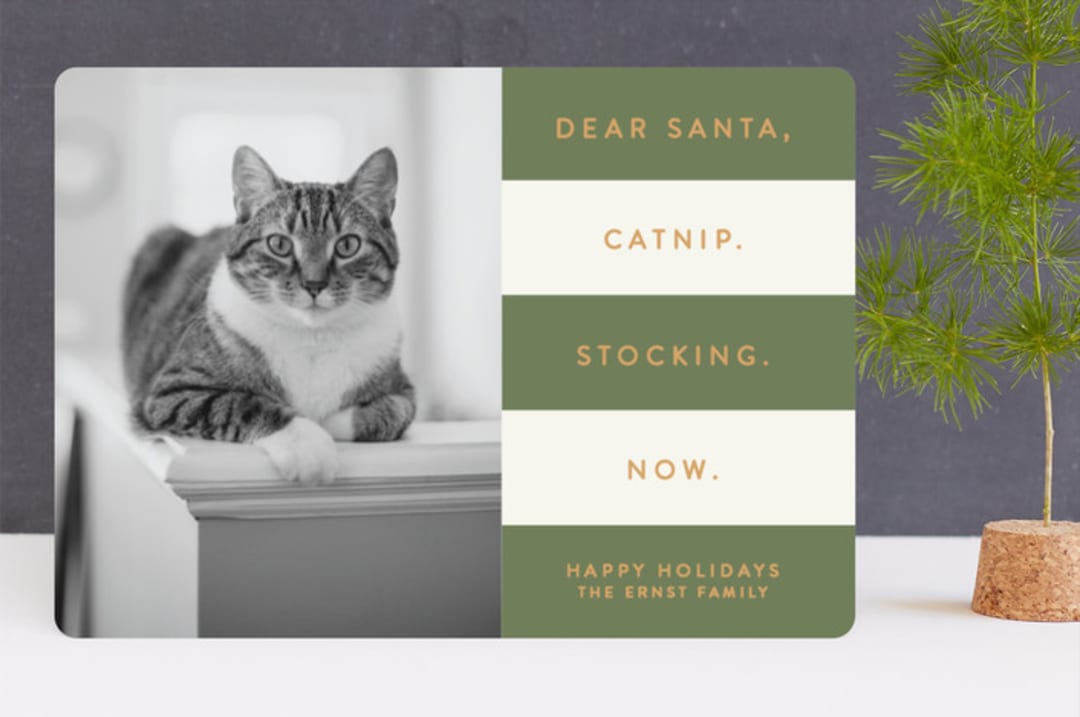 "Catnip Now" - Retired Holiday Cards in Forest by Sara Heilwagen - Front
