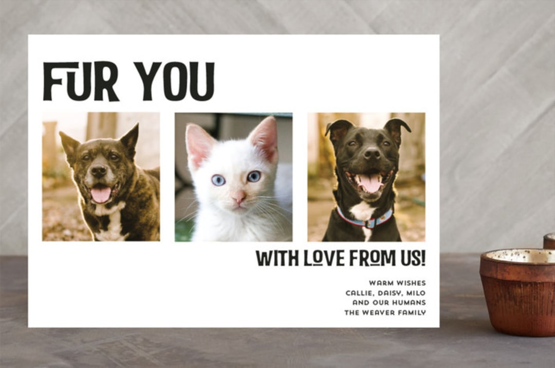 "Fur You" - Retired Holiday Cards in Tuxedo by Debb W - Front