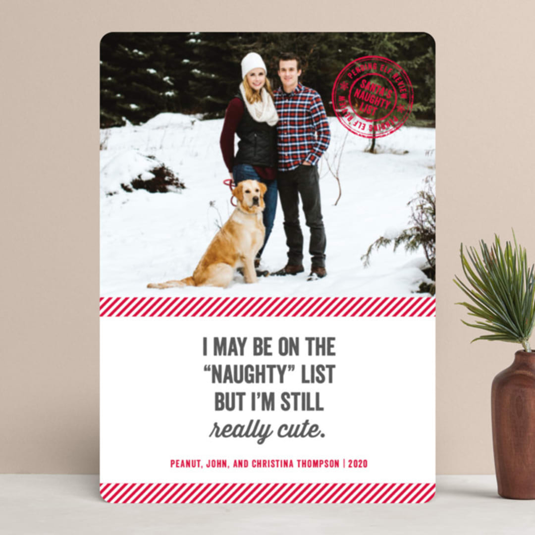 "Still Cute" - Retired Holiday Cards in Cherry by Kerry Doyle - Front