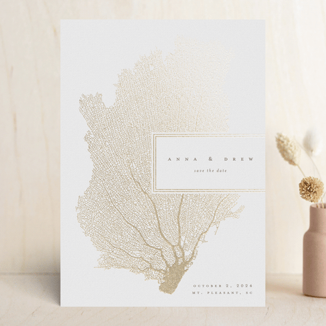 collected coral