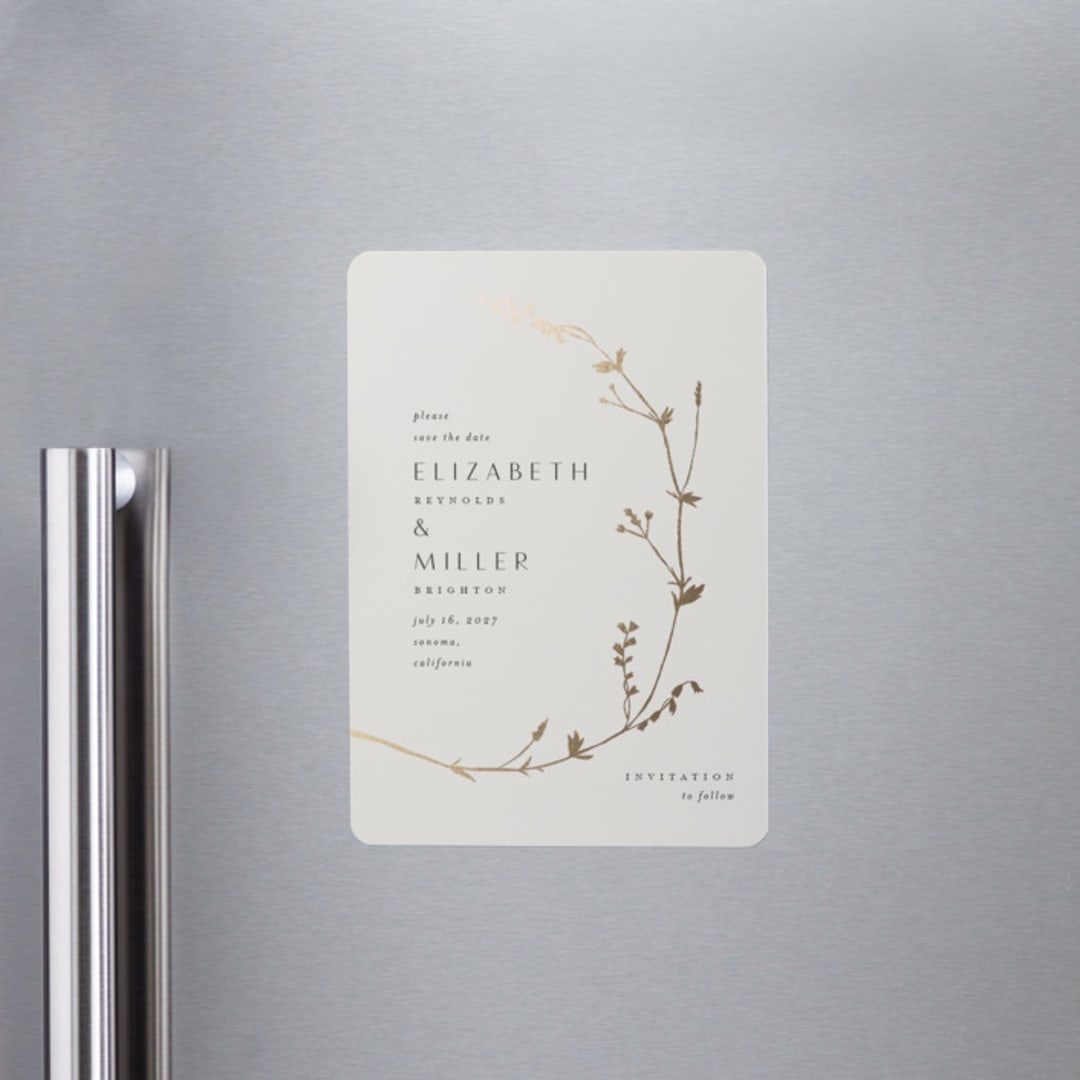 "Vine Wrap" - Save the Dates in Cotton by Amy Kross - Front