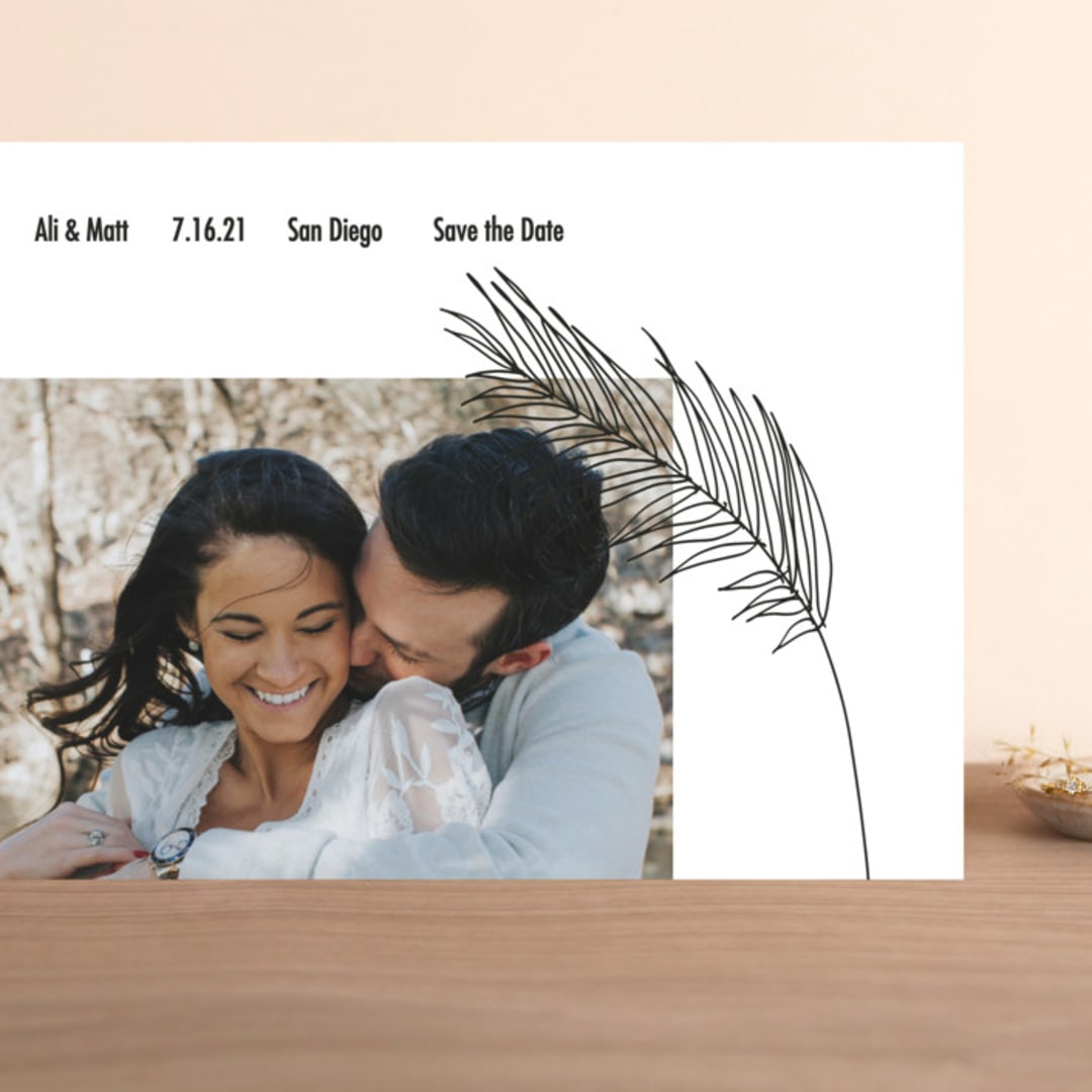 "Palm" - Save the Dates in Night by Elsa Duncan - Front