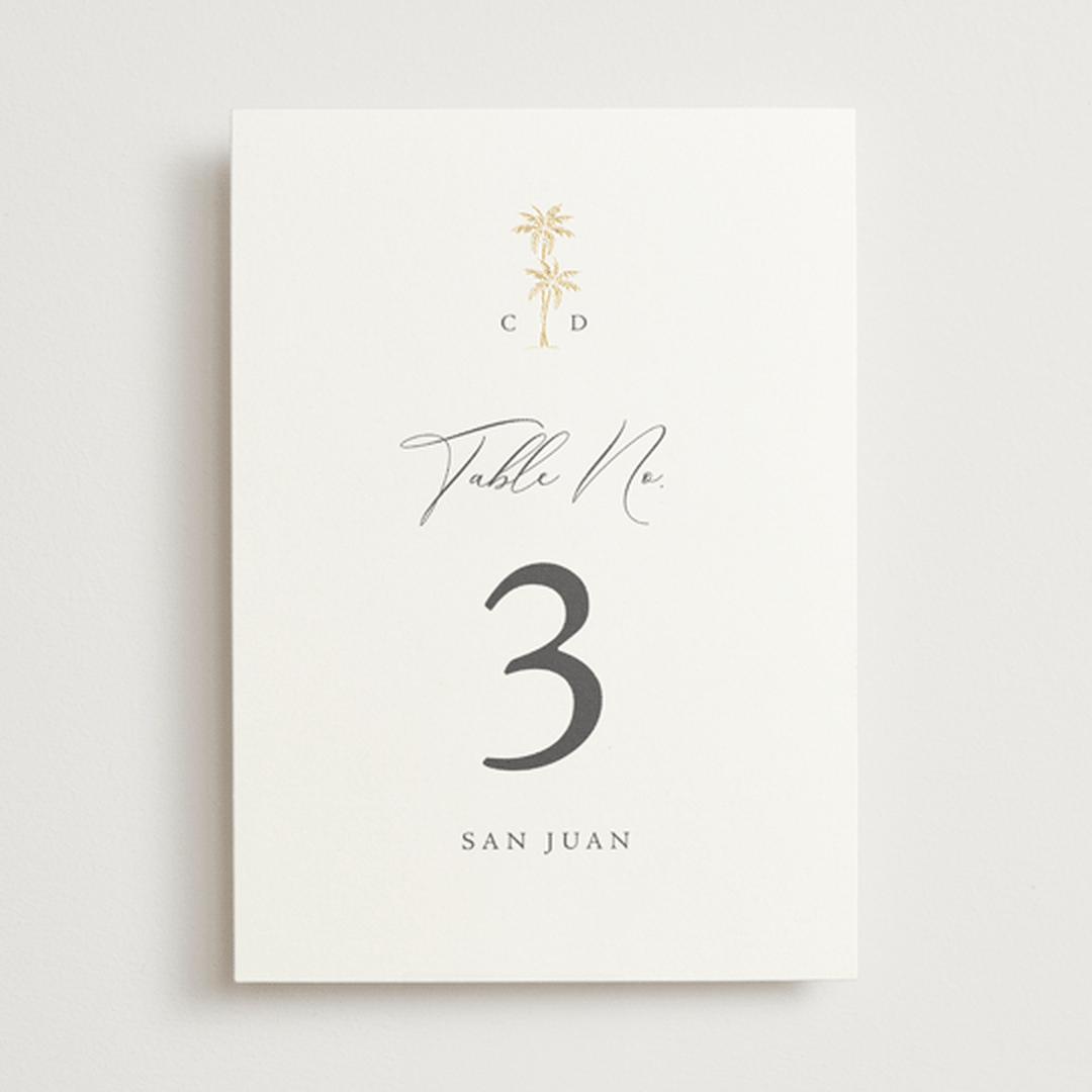 "Palm Monogram" - Table Numbers in Stone by Olivia Raufman - Front