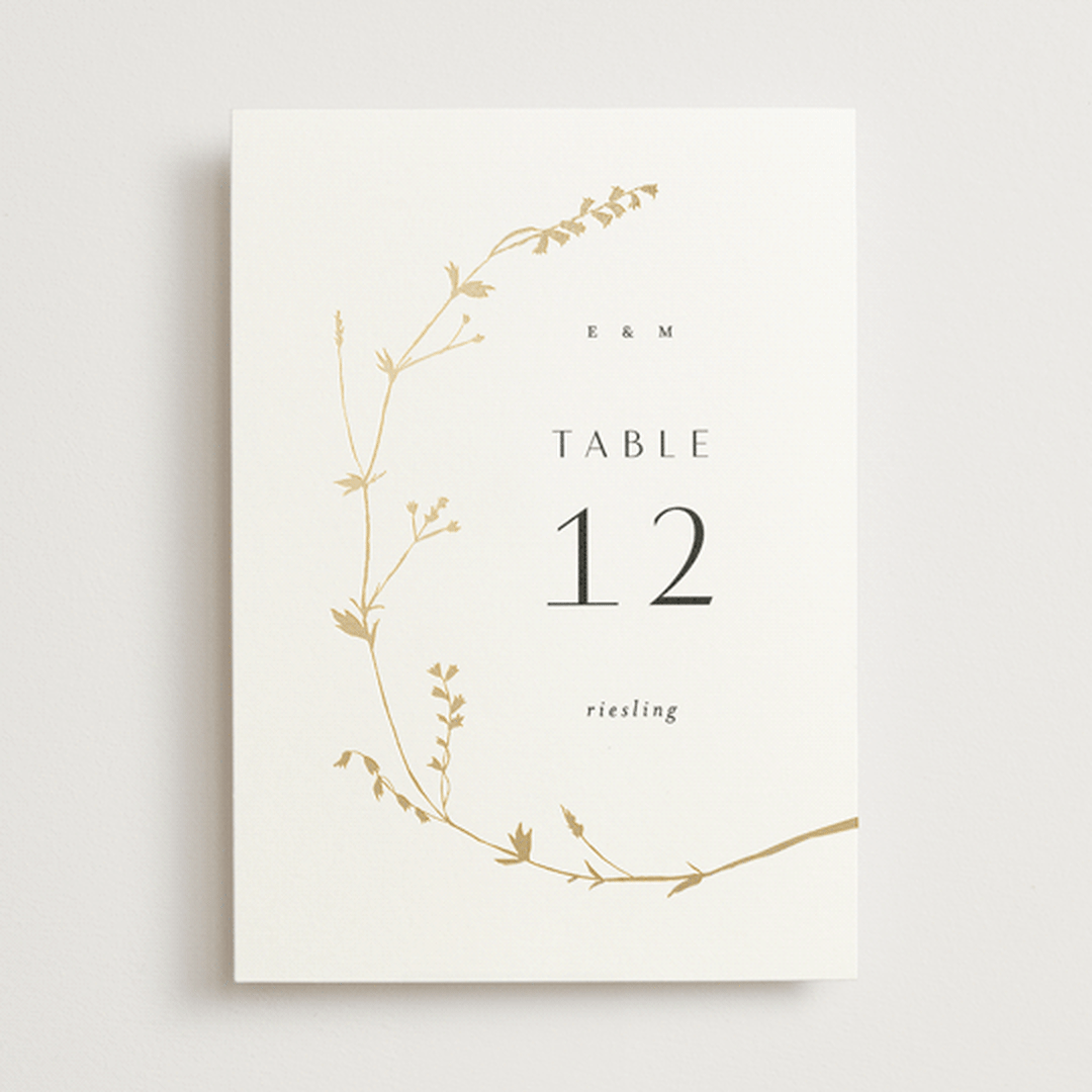 "Vine Wrap" - Table Numbers in Cotton by Amy Kross - Front