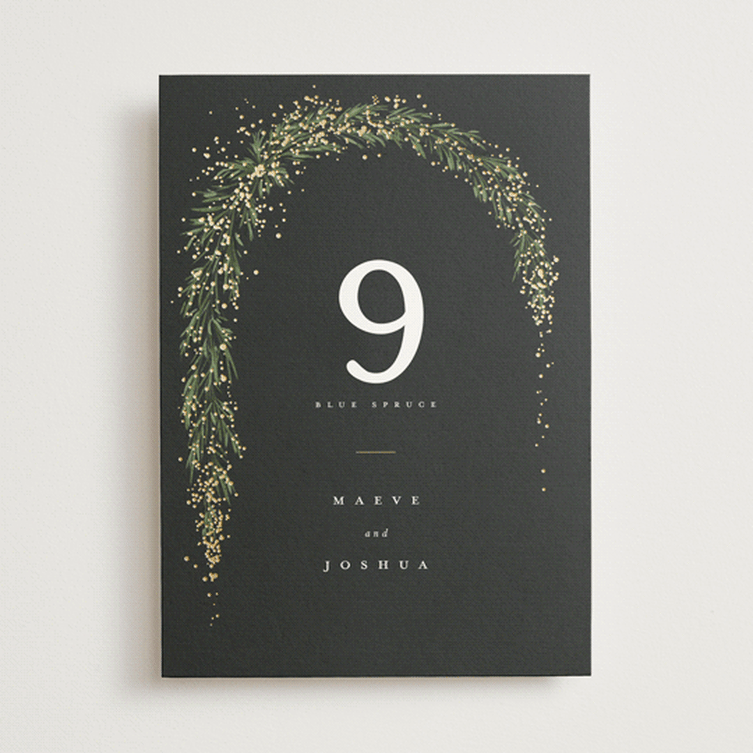 "Winter Garland" - Table Numbers in Tuxedo by Leah Bisch - Front