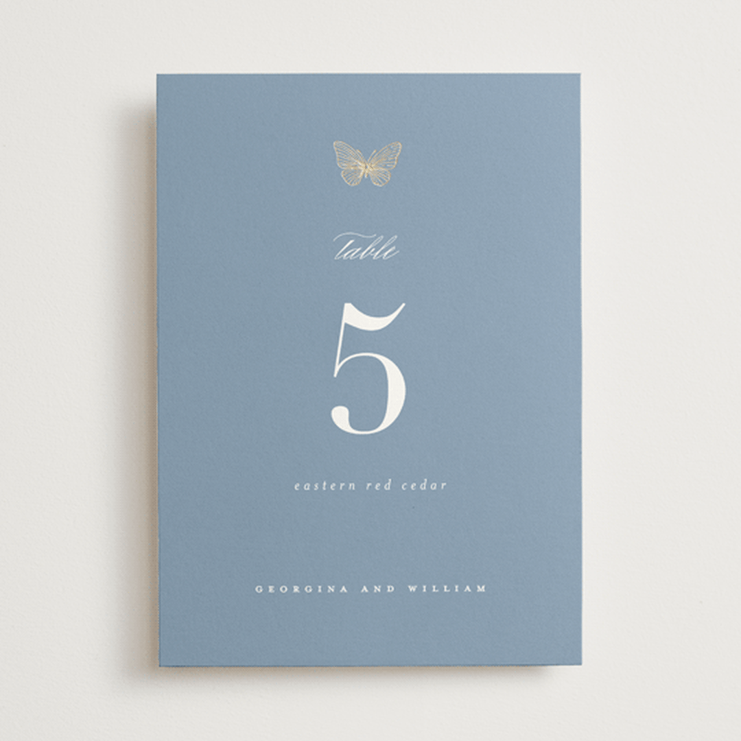 "meet me in the garden" - Table Numbers in Cornflower by Grae - Front