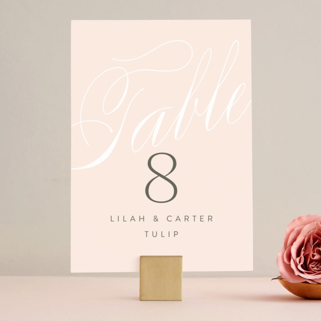 "Classic Lux" - Table Numbers in Blush by Stacey Day - Front
