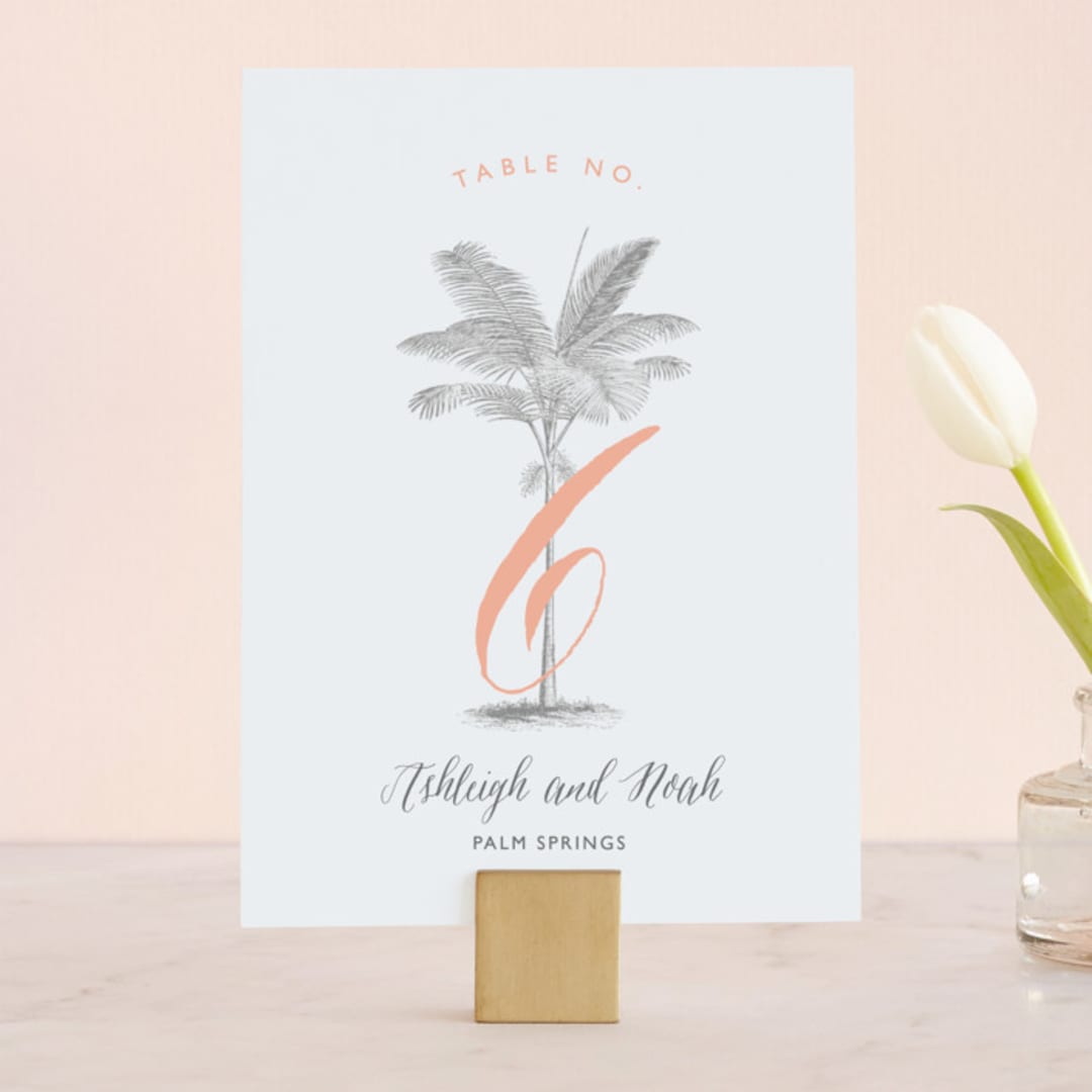 "Palm" - Table Numbers in Salmon by Lauren Chism - Front