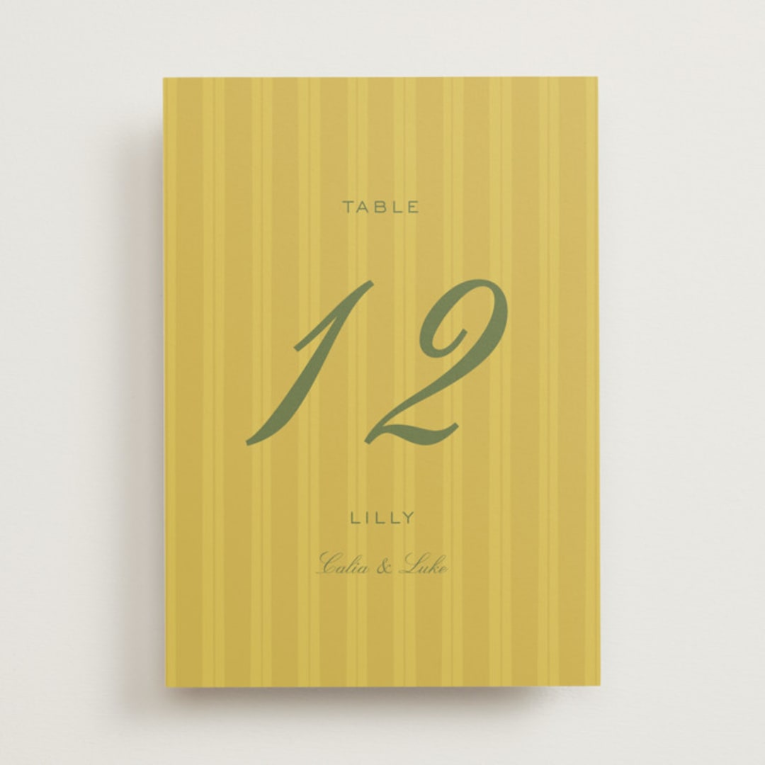 "Calia " - Table Numbers in Caribbean Citrus by Ani Somi - Front
