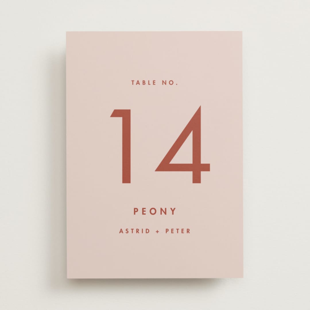 "Jot" - Table Numbers in Peach Cream by Snow and Ivy - Front