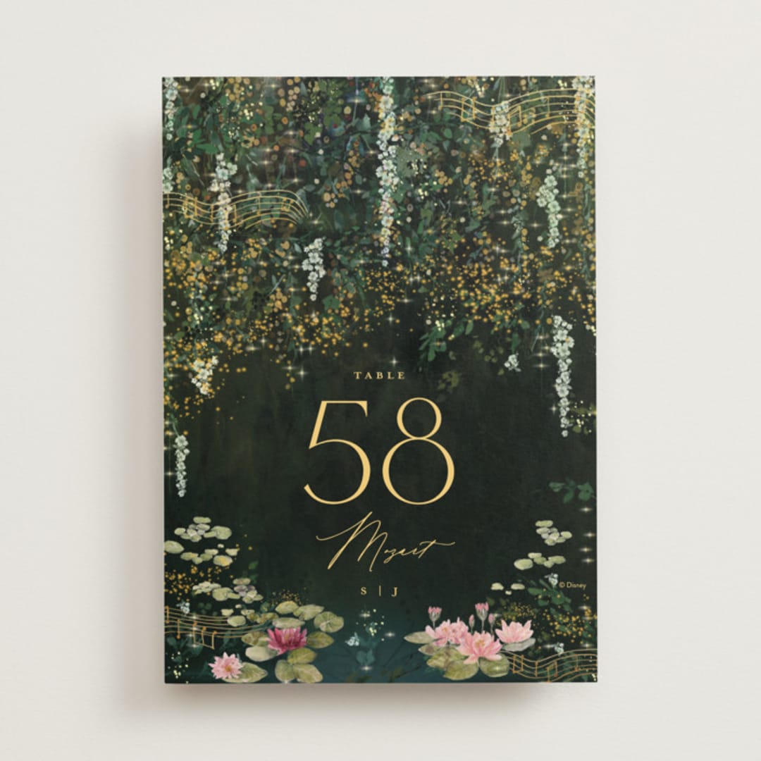 "New Orleans from Disney's Princess and The Frog" - Table Numbers in Mystic by Phrosné Barwood - Front