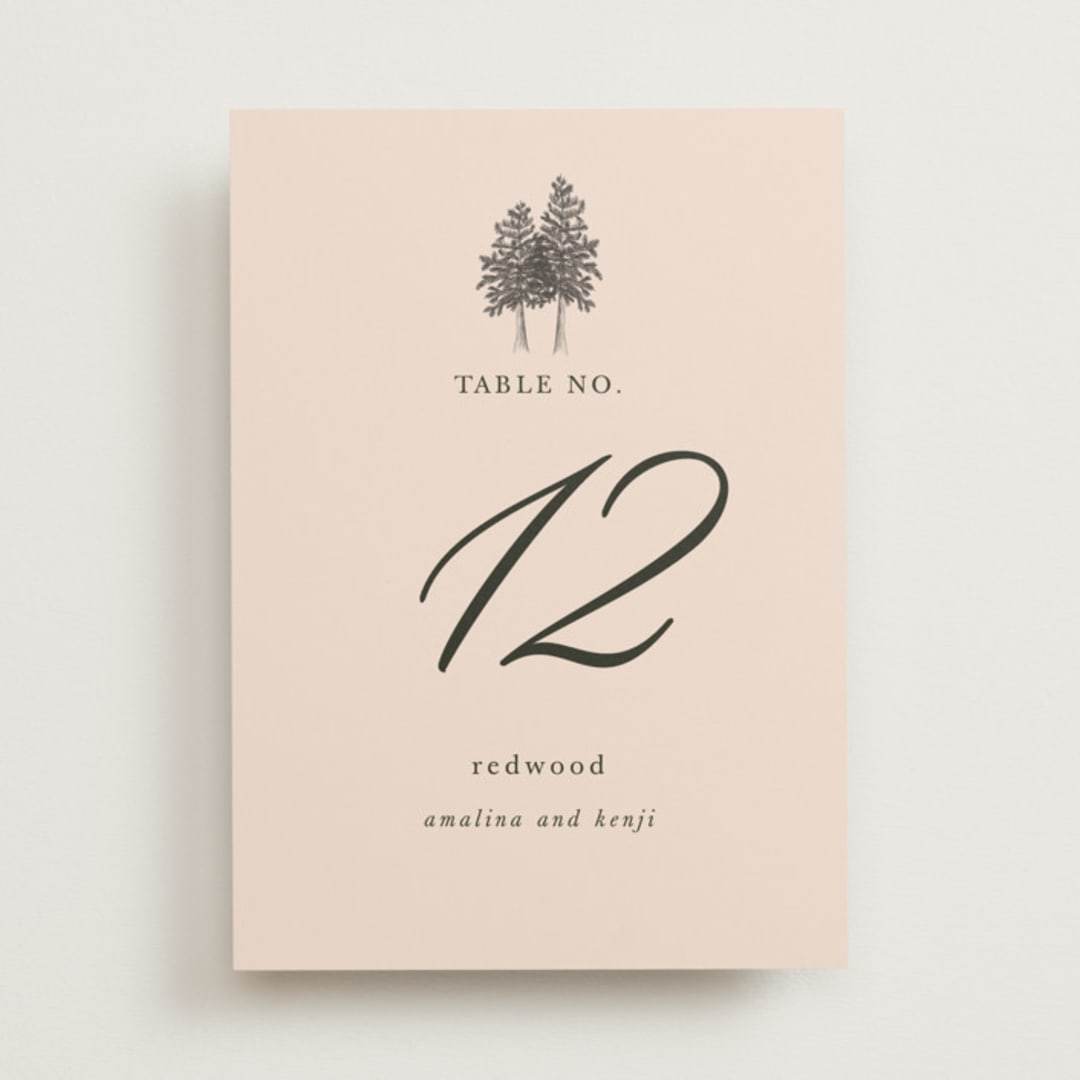 "Arboretum" - Table Numbers in Almond by Morgan Kendall - Front
