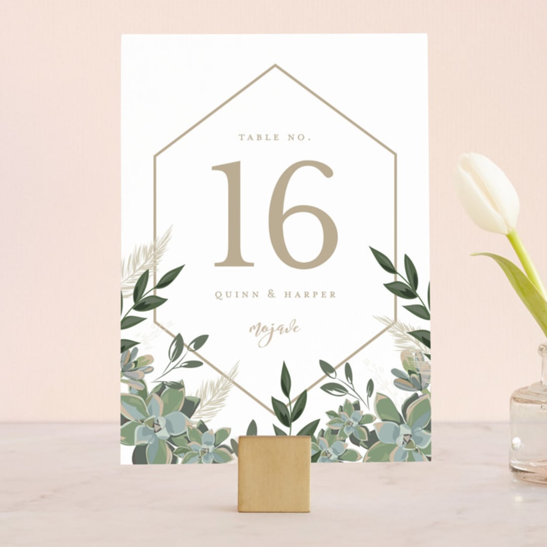"Succulent Surround" - Table Numbers in Cloud by Susan Moyal - Front